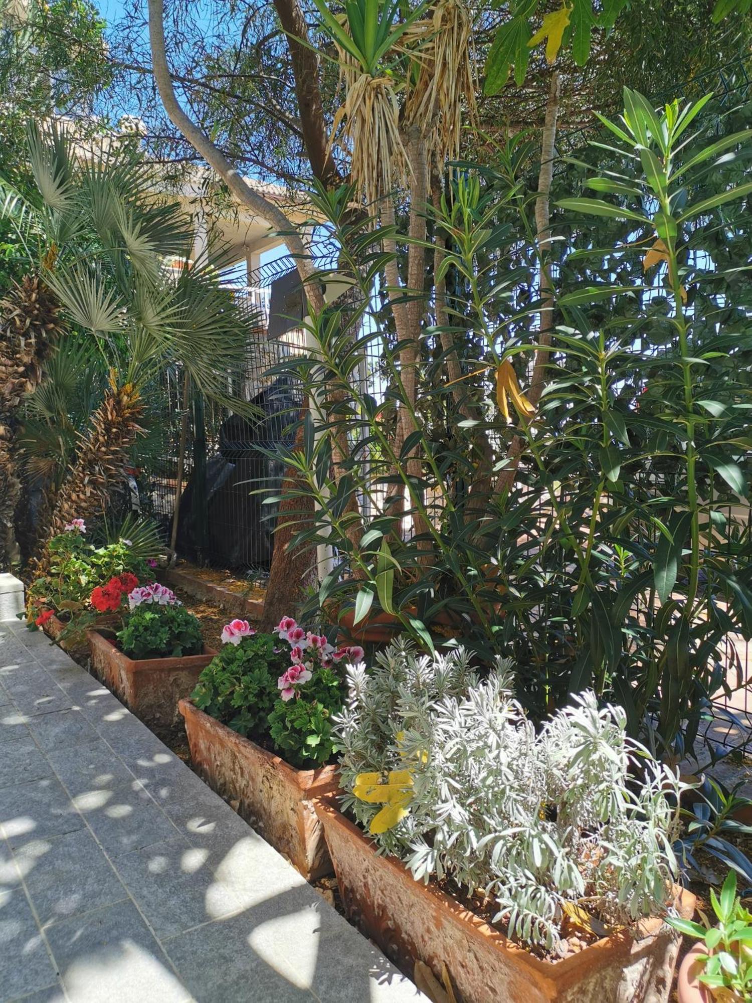 Panorama Apartment Addaura Palermo Eksteriør billede